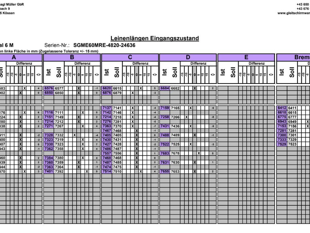 Skywalk Mescal 6 M Gleitschirm 2021 gebraucht thumbnail