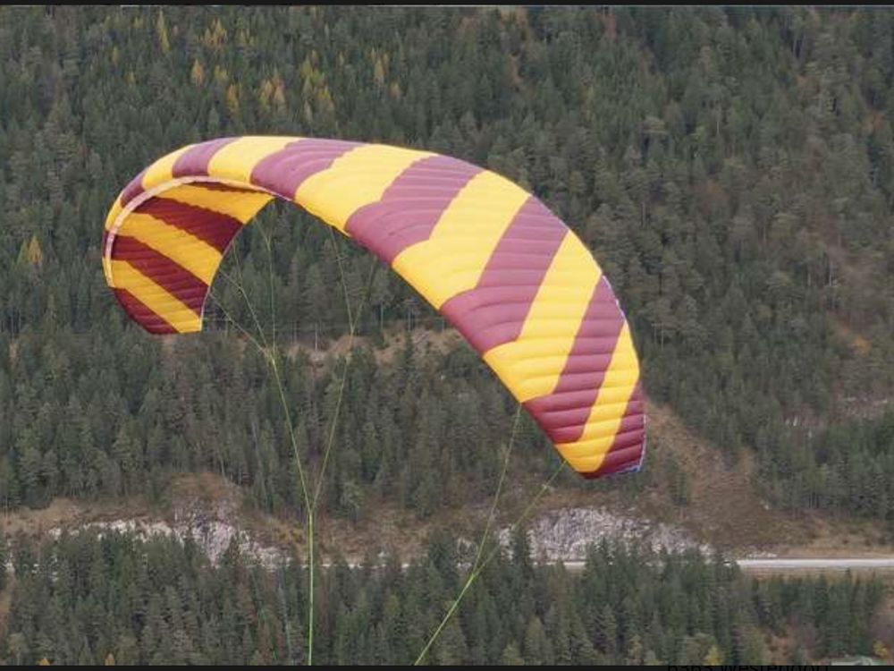 PHI SYMPHONIA XL 26 Gleitschirm 2019 gebraucht