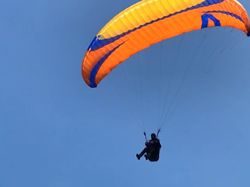 Skywalk Mescal 6 L Gleitschirm 2020 gebraucht thumbnail