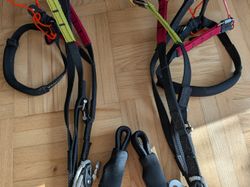 Skywalk Masala 3 XS Gleitschirm 2020 gebraucht thumbnail