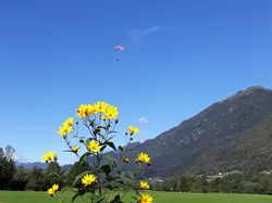 Vorschaubild für Gleitschirm Inserat