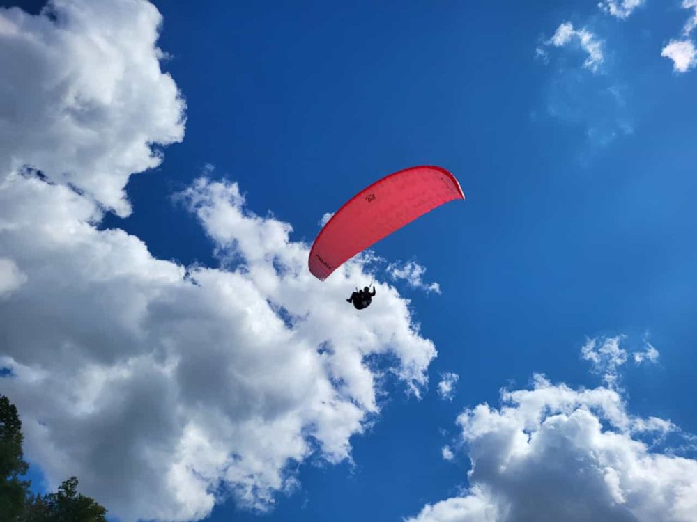 Ozone Mojo 6 S Gleitschirm 2022 gebraucht