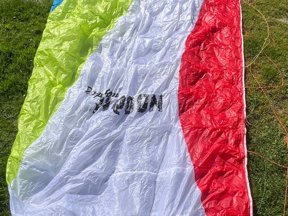 Papillon Raqoon