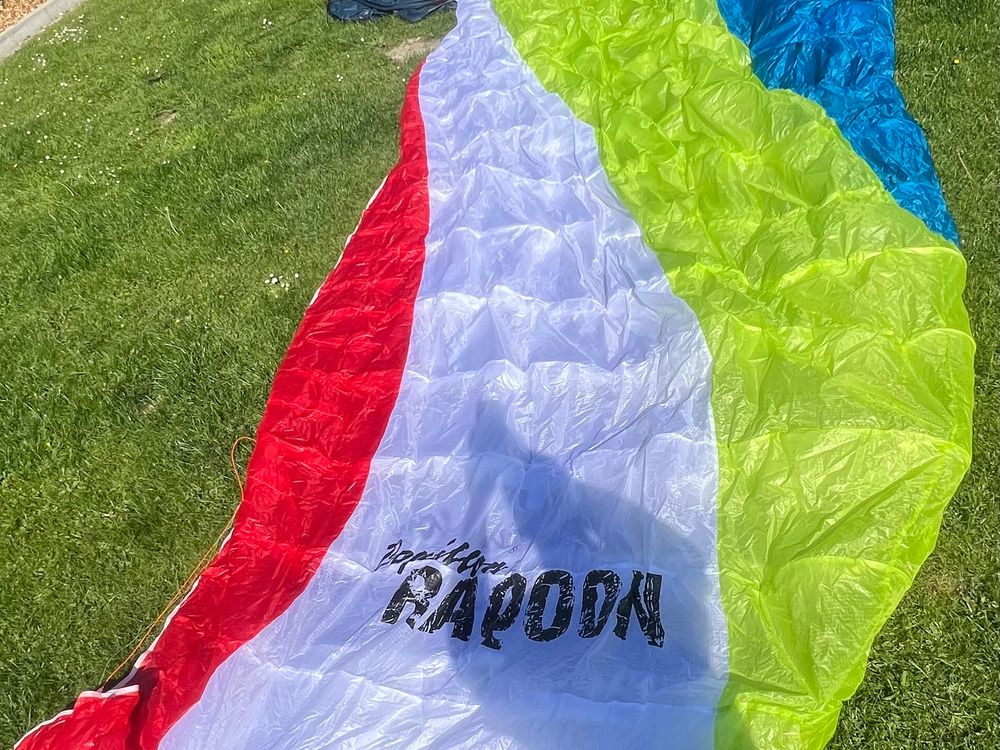 Papillon Raqoon