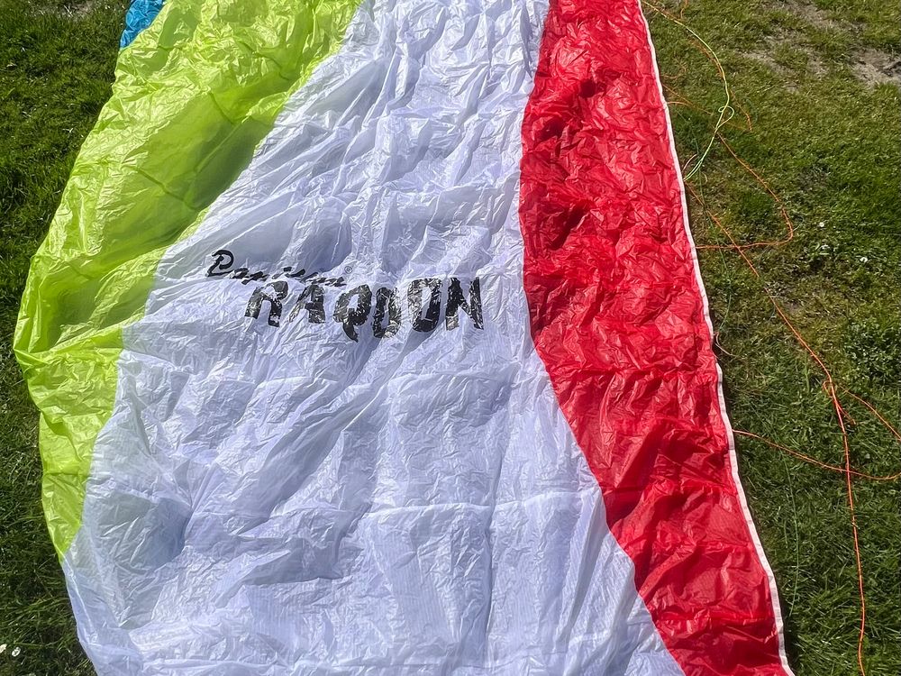 Papillon Raqoon