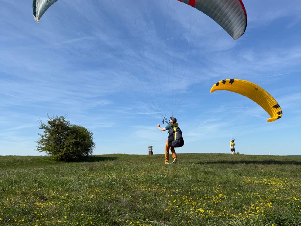 Skywalk Arak XS Gleitschirm 2019 gebraucht thumbnail