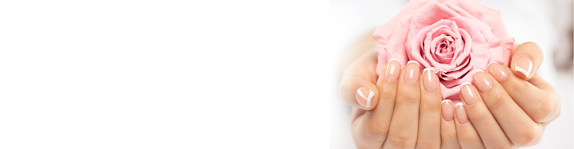 Collagen Powder Private Label