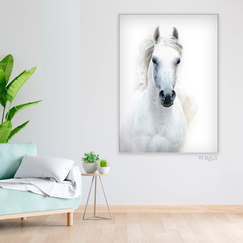 caballo-blanco-impetu-cuadro-decorativo-0