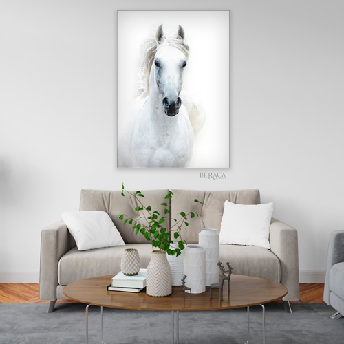 caballo-blanco-impetu-cuadro-decorativo-1
