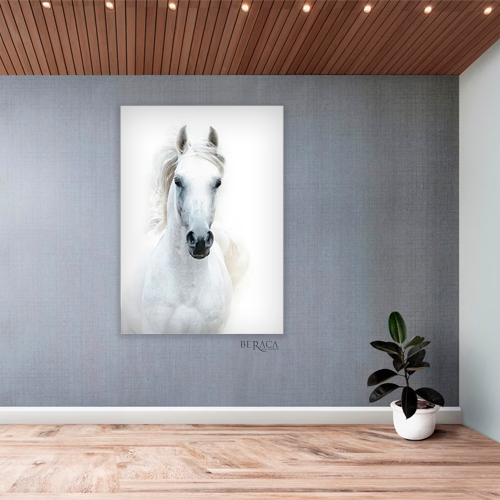 caballo-blanco-impetu-cuadro-decorativo-2