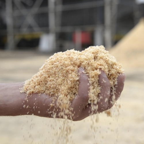 aserrin-polvo-sustratos-organicos-0