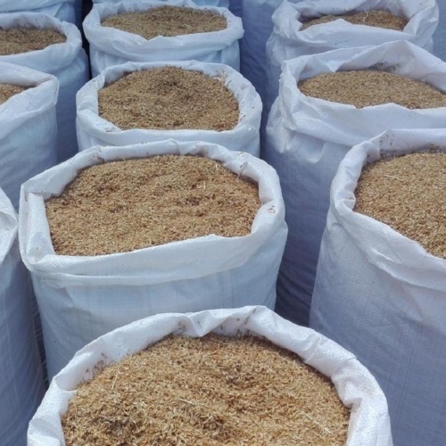 cascarilla-de-arroz-cruda-sustratos-organicos-1