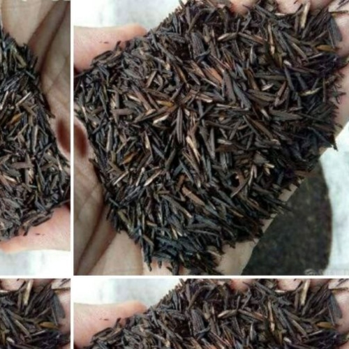 cascarilla-de-arroz-quemada-sustratos-organicos-2