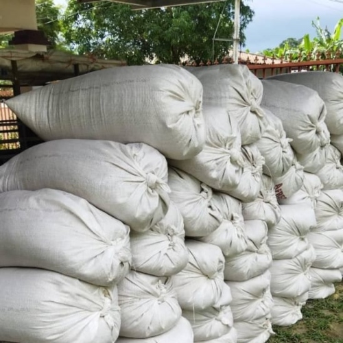 cascarilla-de-arroz-quemada-sustratos-organicos-3