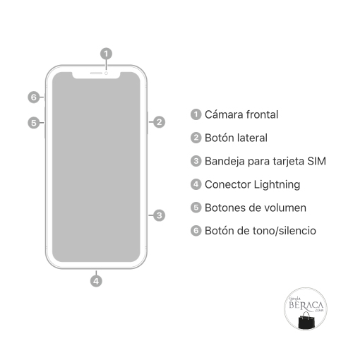 descubre-el-iphone-11-2