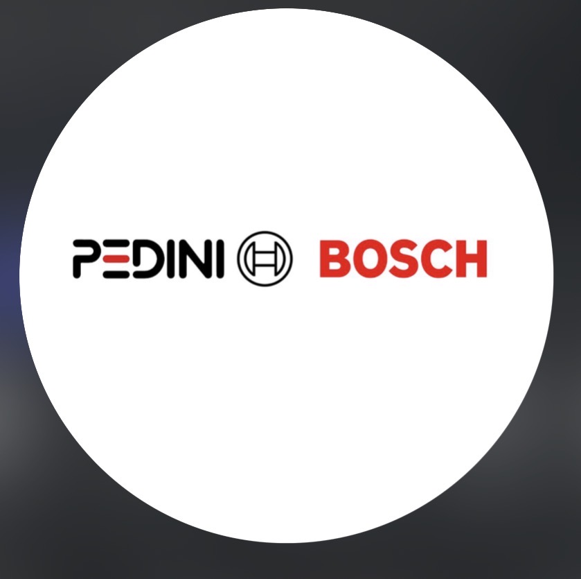 Pedini Nigeria Ltd