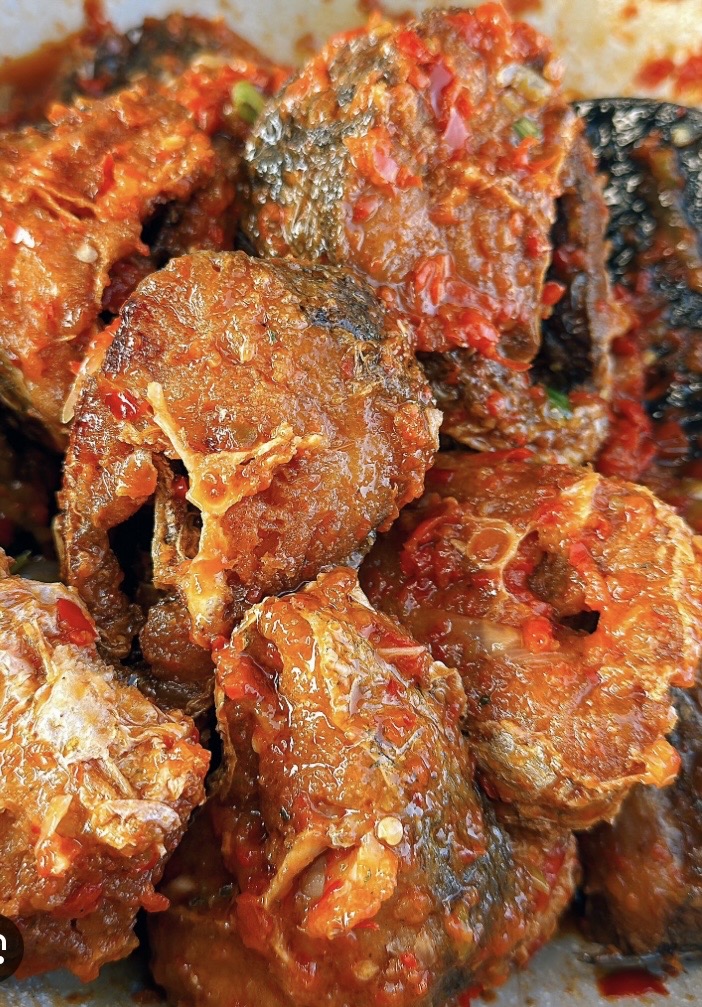 Croaker Fish