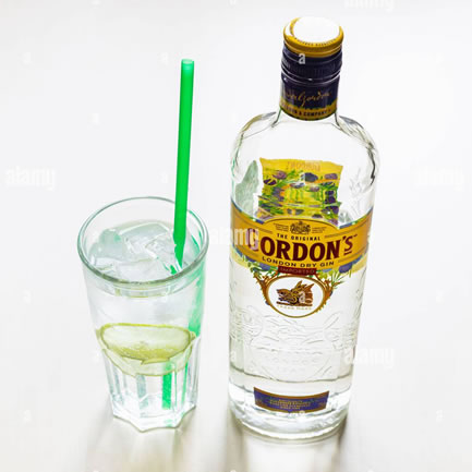 GORDON GIN (Shots)