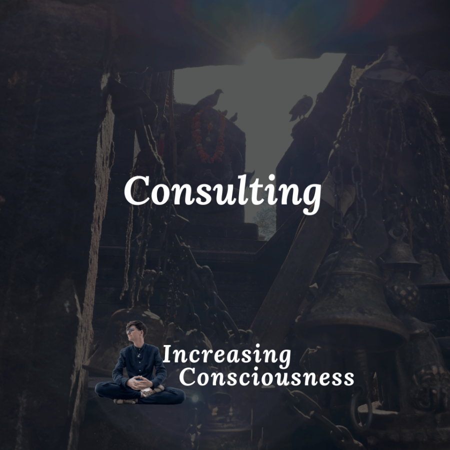 Hourly Consulting In Person