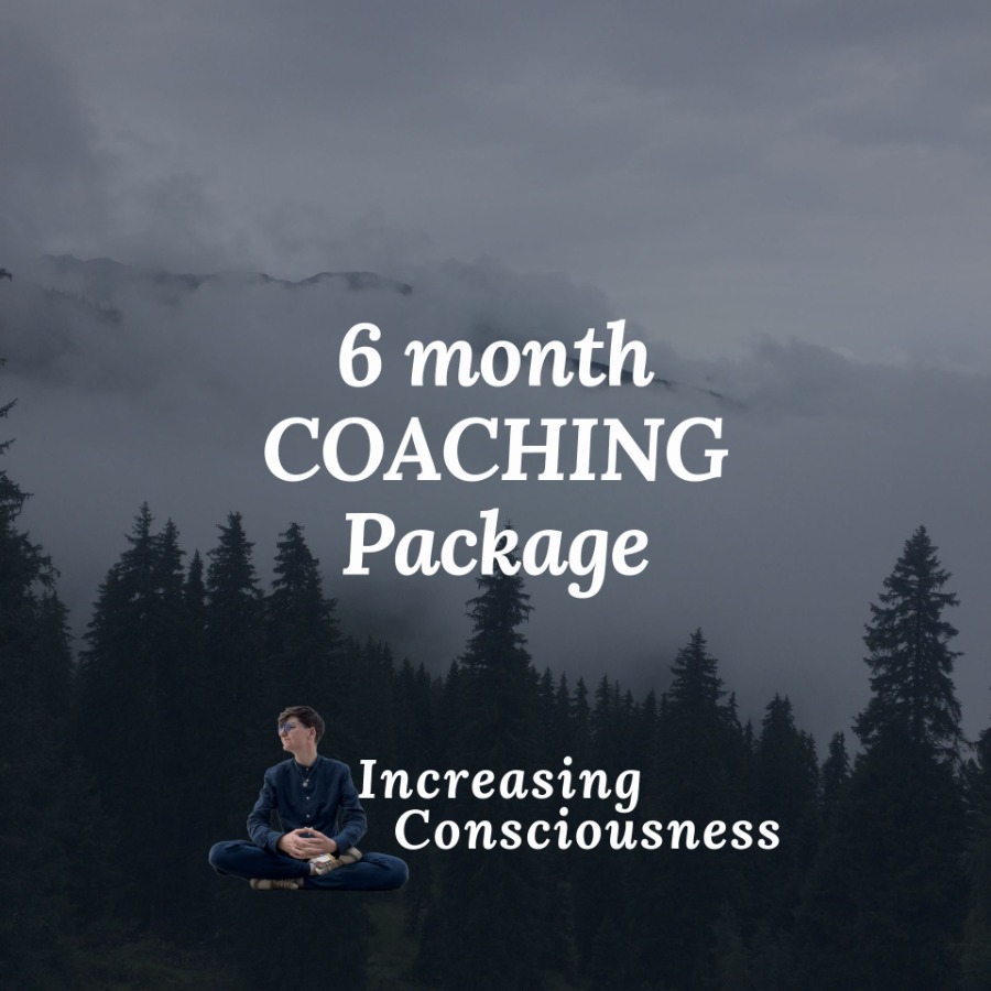 Personal Coaching Package 6 Months with weekly sessions