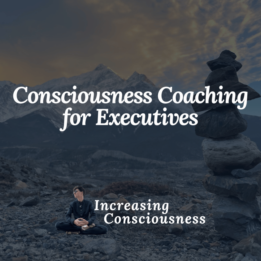 Leadership Coaching Package for Consciousness in Leadership Program