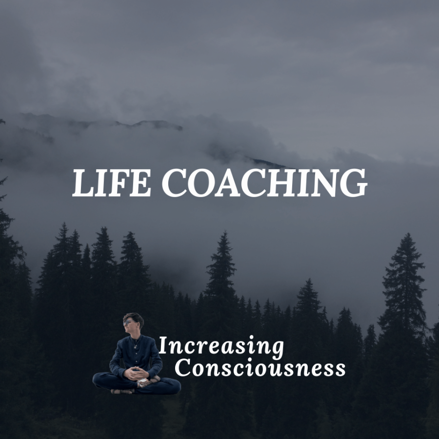 Hourly Coaching