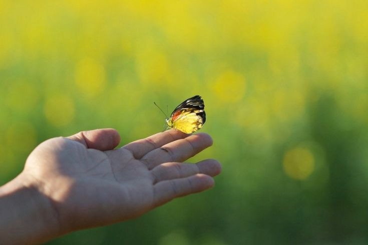 Trauma Informed Coaching