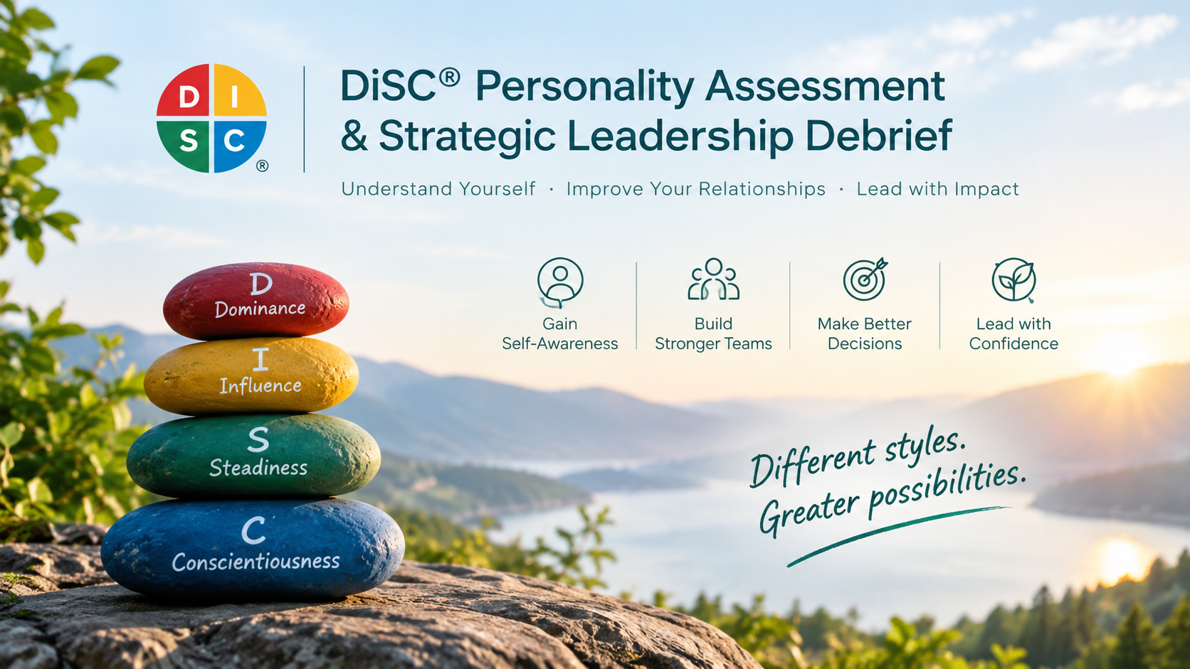 DiSC® Personality Assessment & Strategic Leadership Debrief by Clotilde HIBON