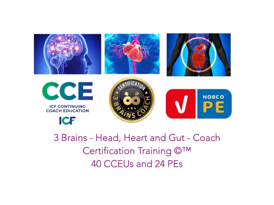 3 Brains Coach Training