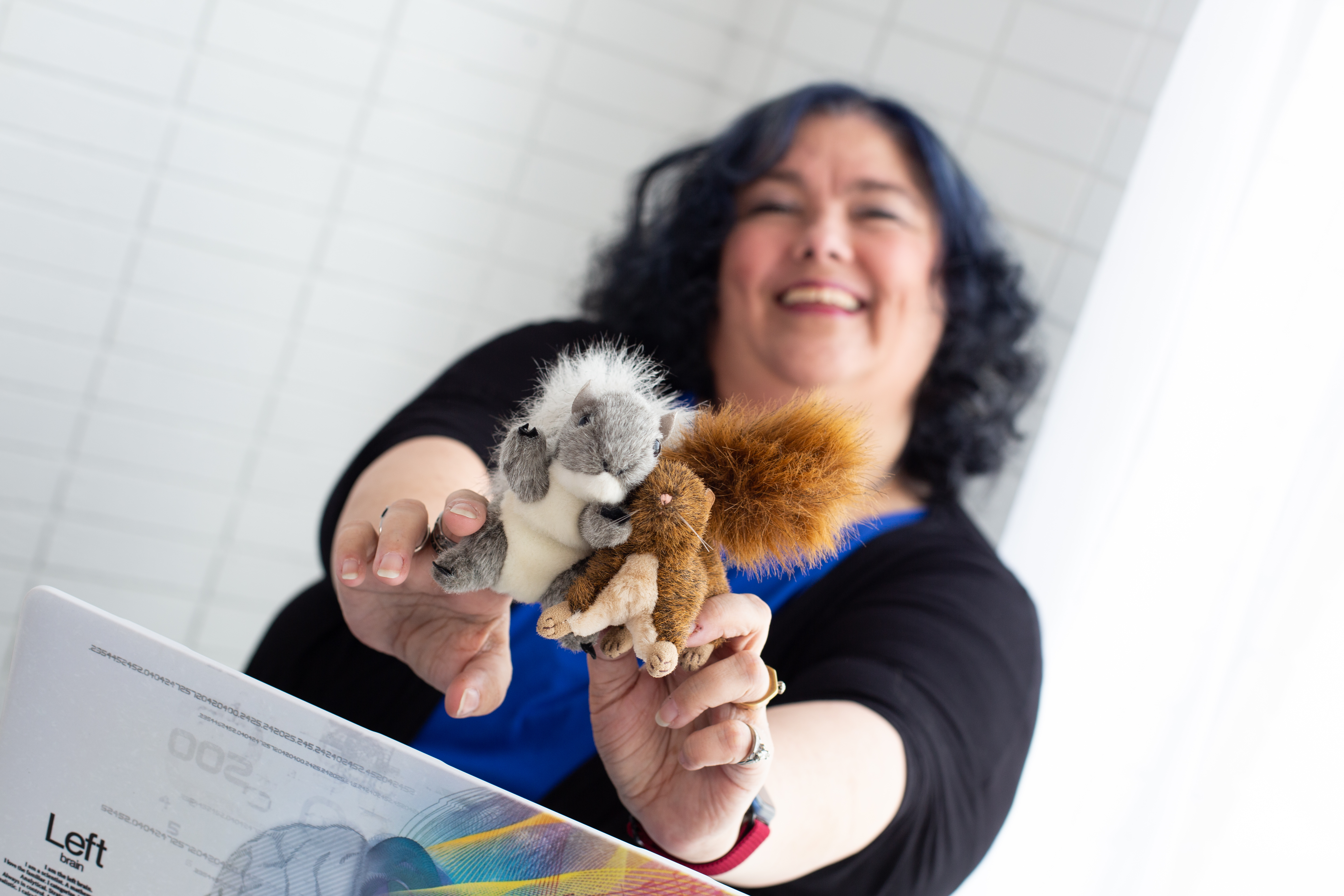 Stacy Braiuca portfolio