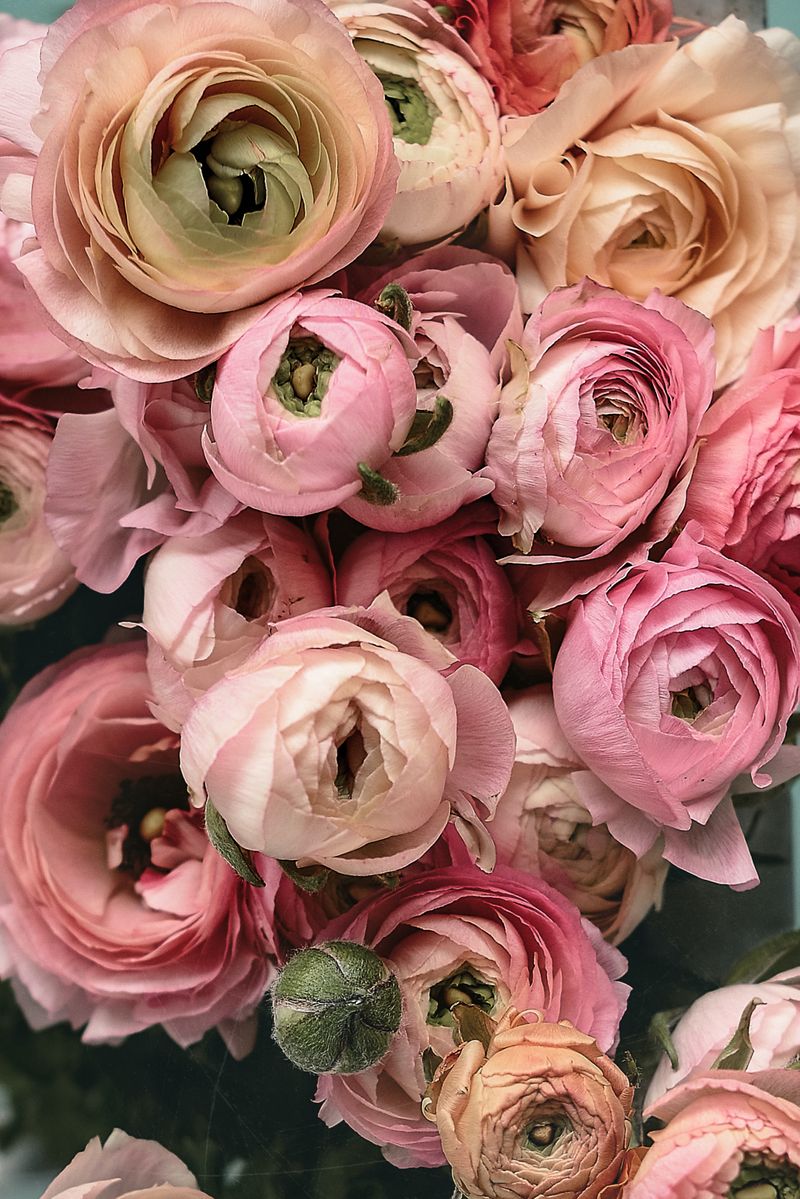 Photo by Anita Austvika on Unsplash