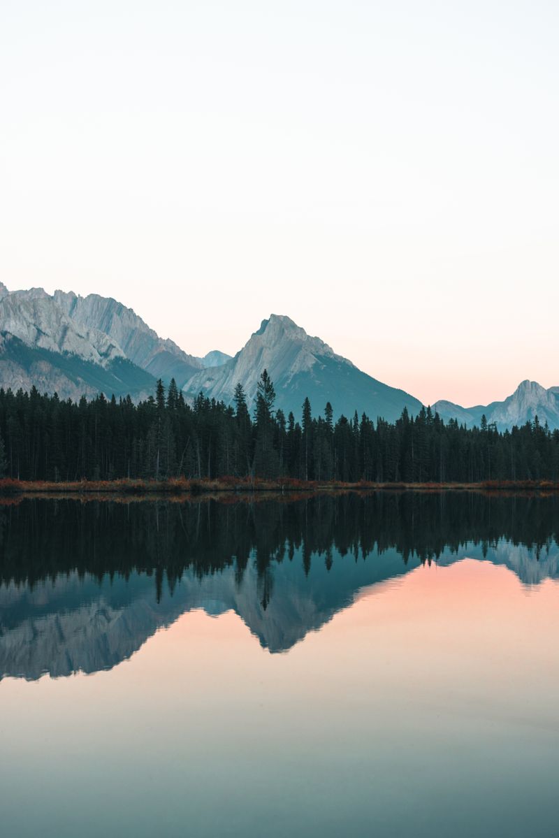 Photo by Ali Kazal on Unsplash