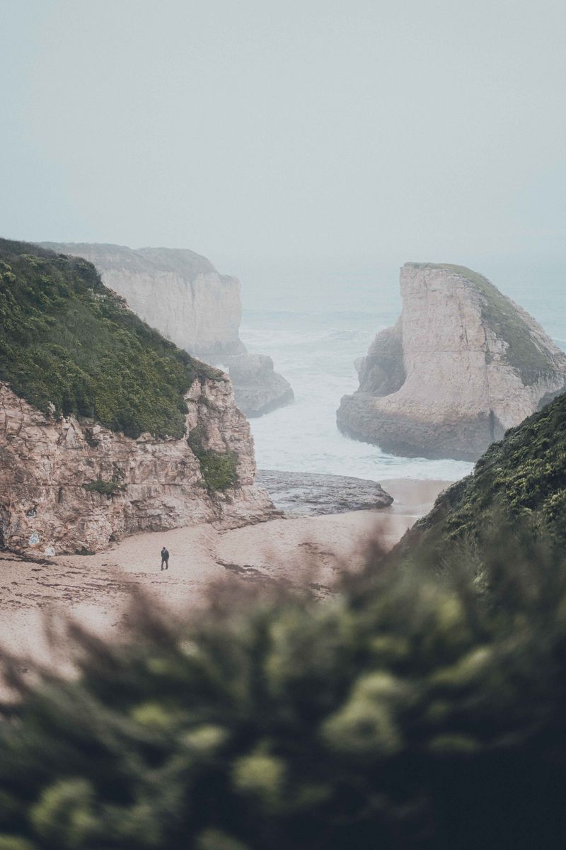 Photo by Sharad Bhat on Unsplash