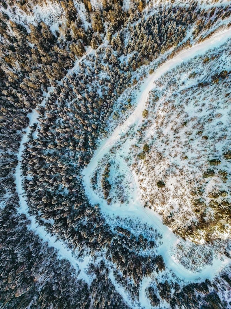 snow