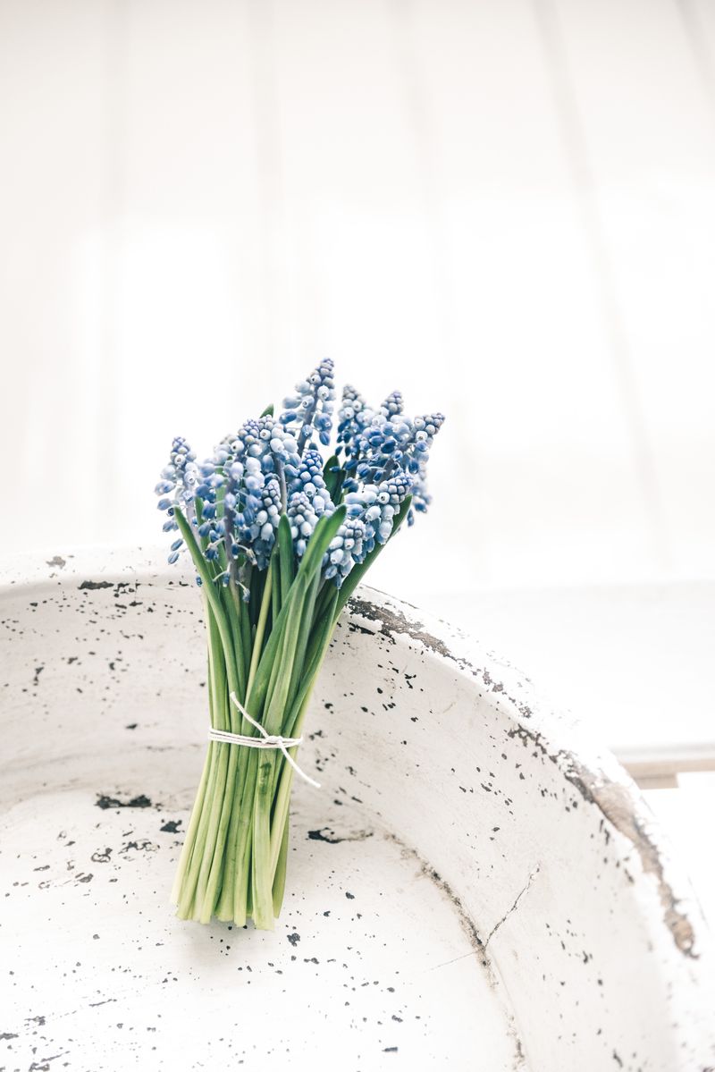 Photo by Anita Austvika on Unsplash