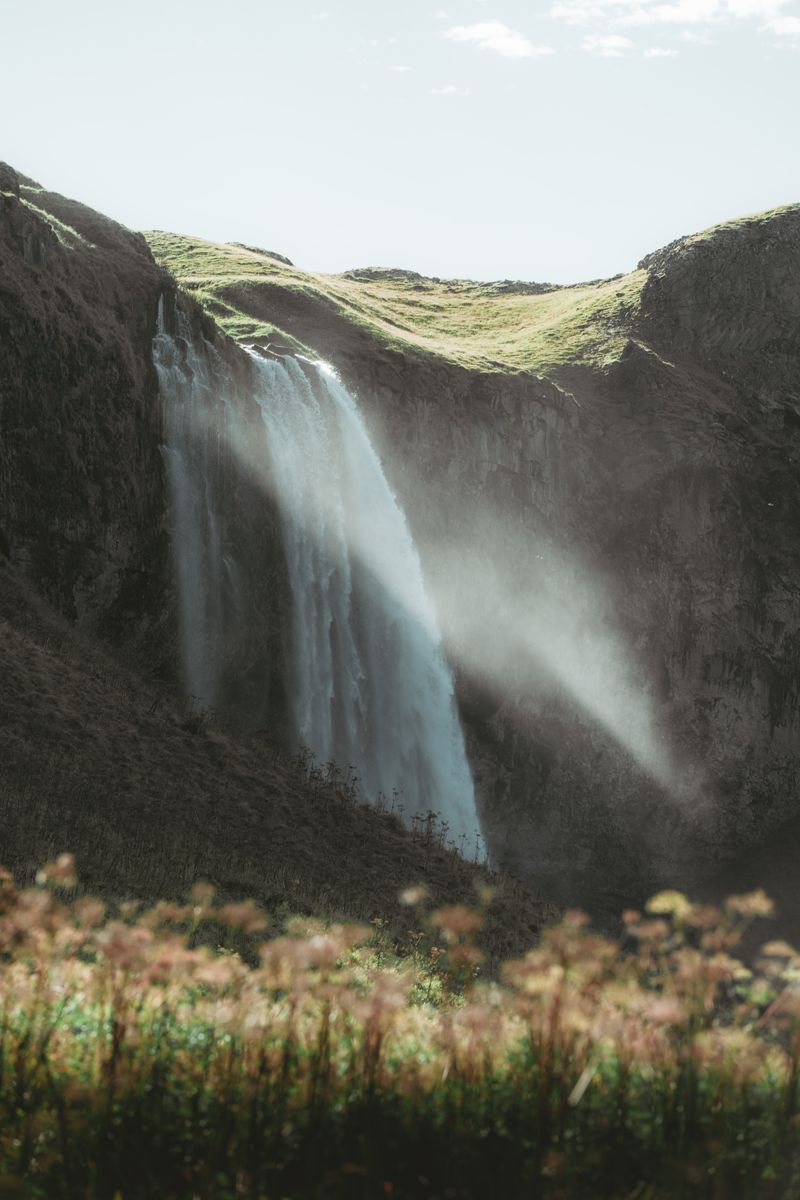 Photo by Dylan Leagh on Unsplash