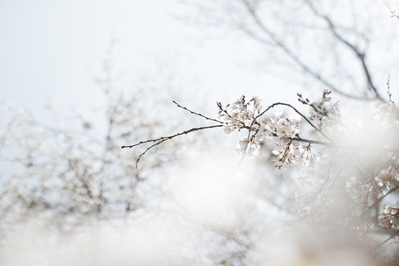 Photo by Kevin Wang on Unsplash