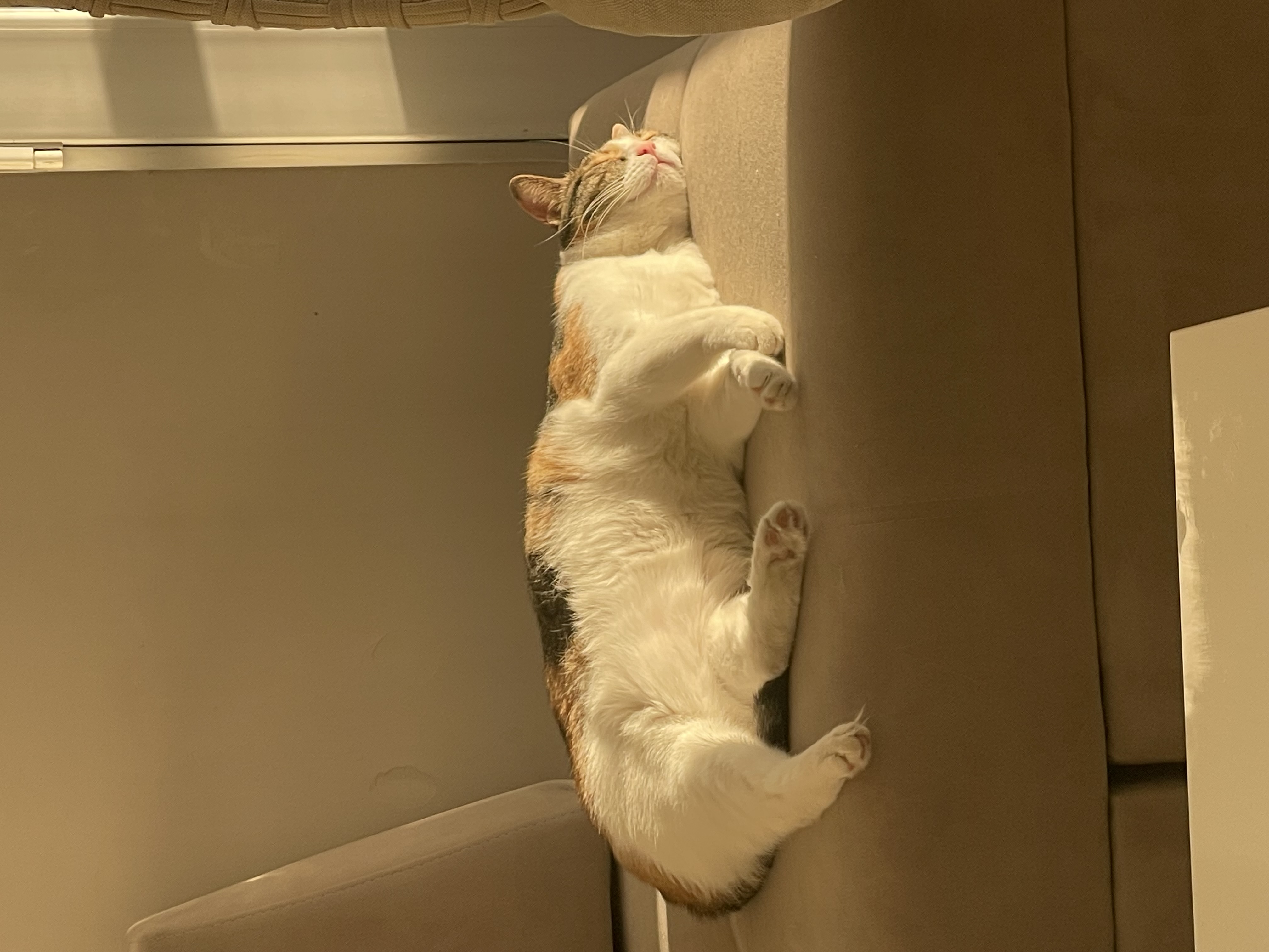 Pixel