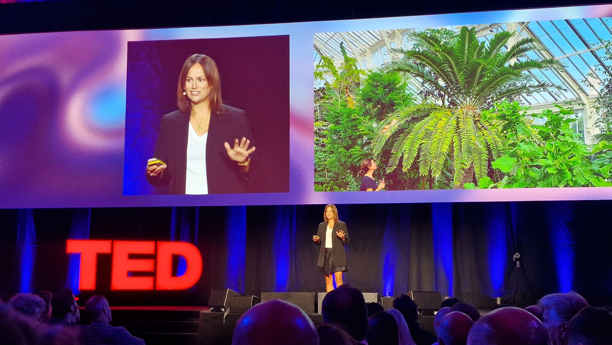 TEDAI, Europe's official TED Conference dedicated to Artificial Intelligence, Vienna, September 2025.