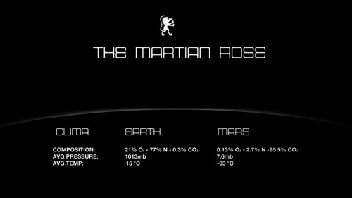 ROSES IN EXTREME ENVIRONMENT