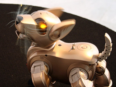 France Cadet :: Do Robotic Cats Dream of Electric Fish? (2007), Bios 4, Centro Andaluz de Arte Contemporaneo, Seville, S