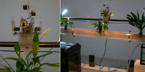 Andy Gracie :: Fish, Plant, Rack (2004), Bios 4, &copy; c-lab 2007