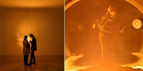 the martian rose (2007), Bios 4, &copy; c-lab 2007