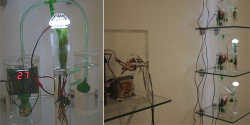 Philip Ross :: Junior Return (2005), Bios 4, &copy; c-lab 2007