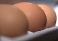 Anti-cancer drugs in chicken eggs 
