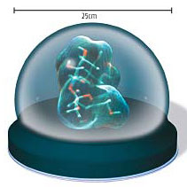 See virtual worlds in the round