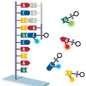DNA sequencing race hots up