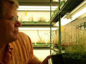 At Long Last, Scientists Figure Out How Plants Grow

