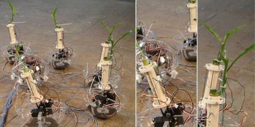 Networkd Bamboo, David Bowen