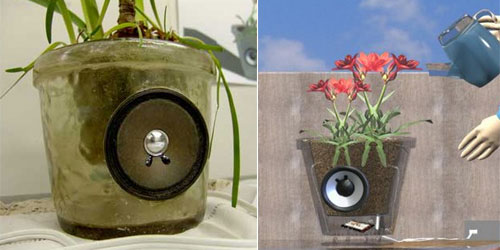 Cantaro, musical flower pot